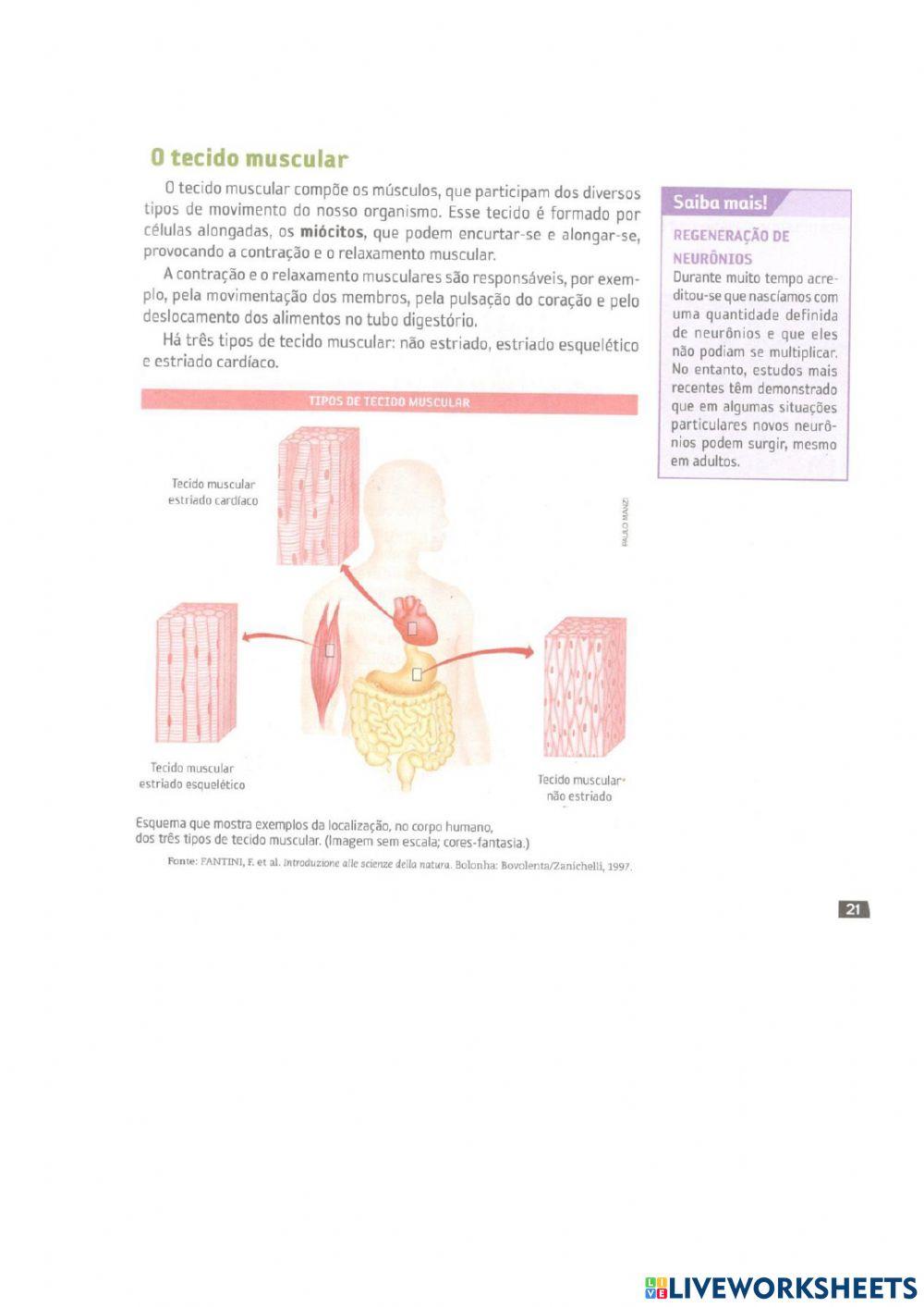 Histologia