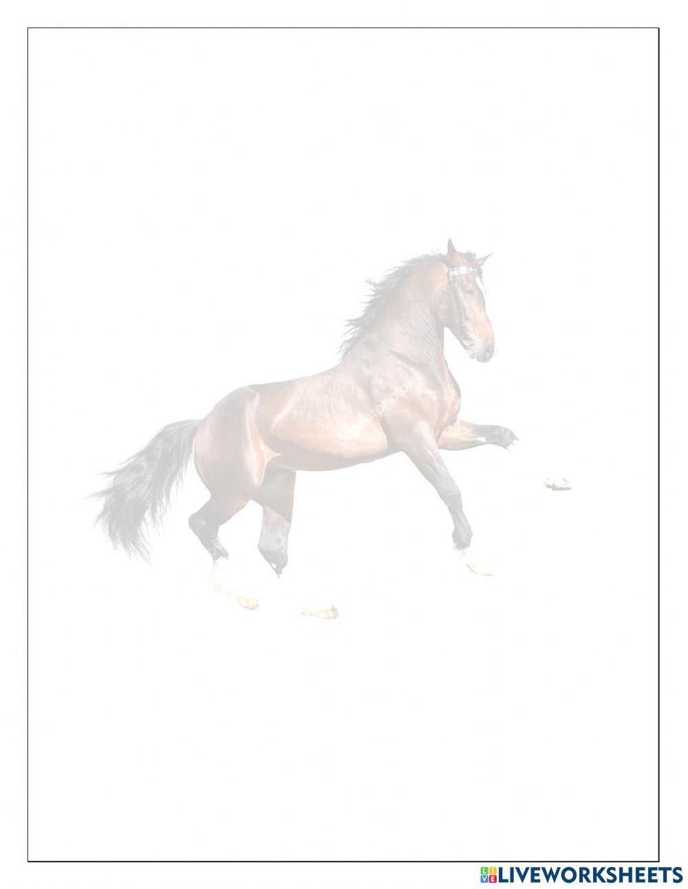 Multiplicacion y division de notacion cientifica