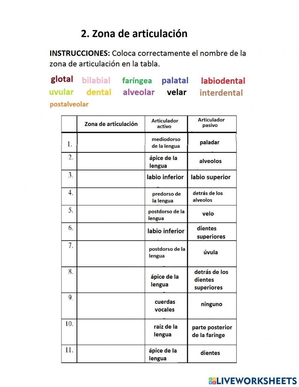 Zona de articulación