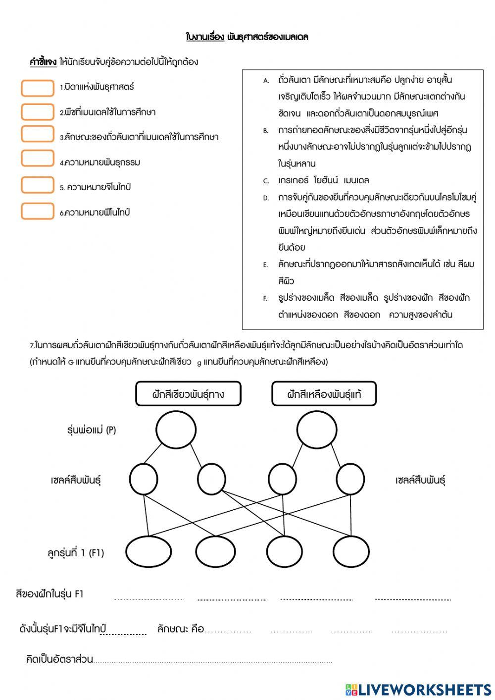 พันธุศาสตร์ของเมลเดล