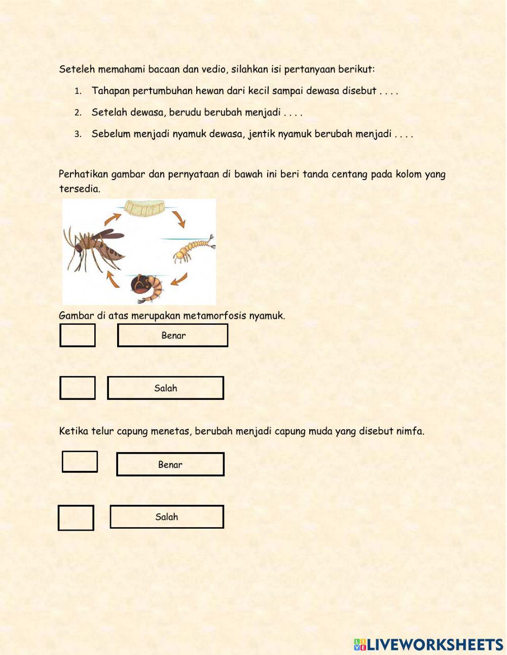Kelas 4 tema 6 st 2 pb 1