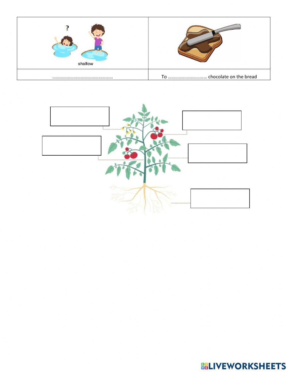 Interaction with water