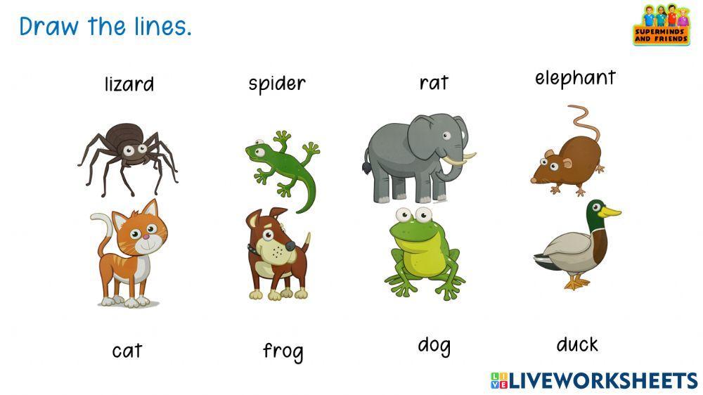 Worksheet for Super Minds pg 34 Pet Show animals name