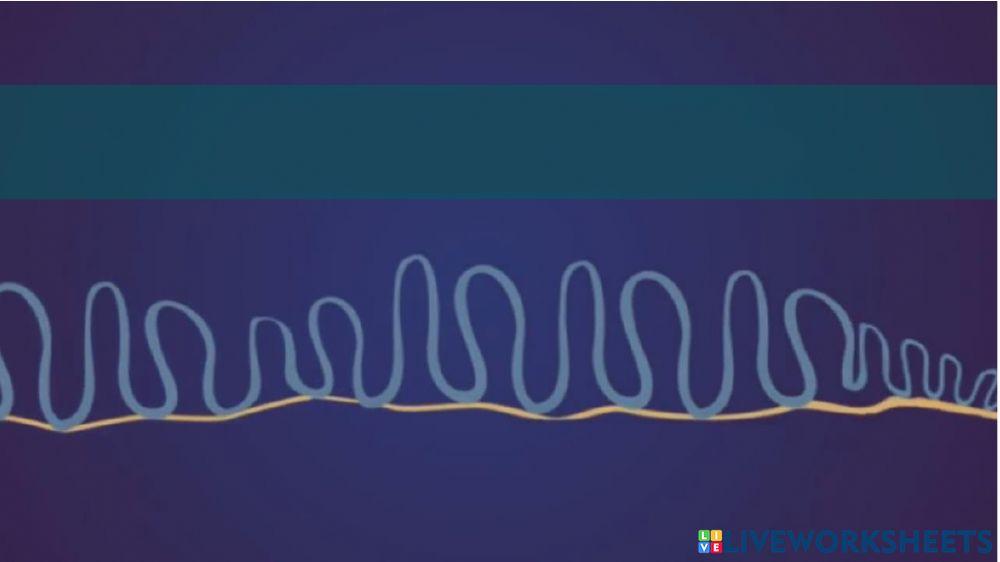แบบฝึกหัด เรื่อง โครโมโซม