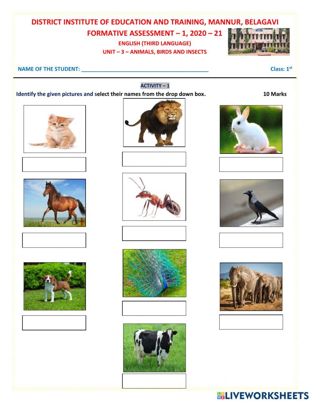 1st U3 Animals, Birds & Animals A1