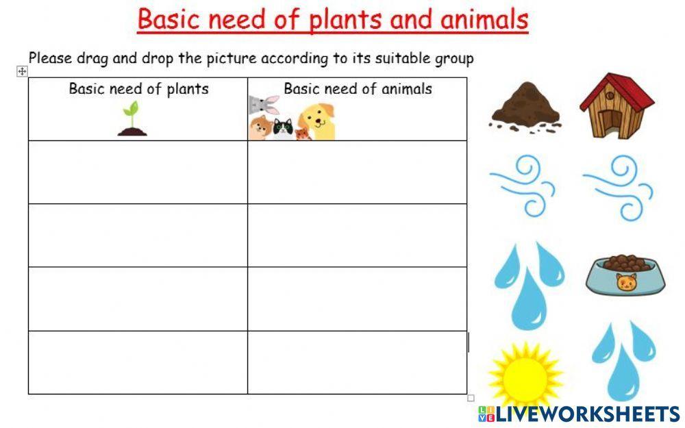 1180734 basic need of plants and animals aimiibrahim