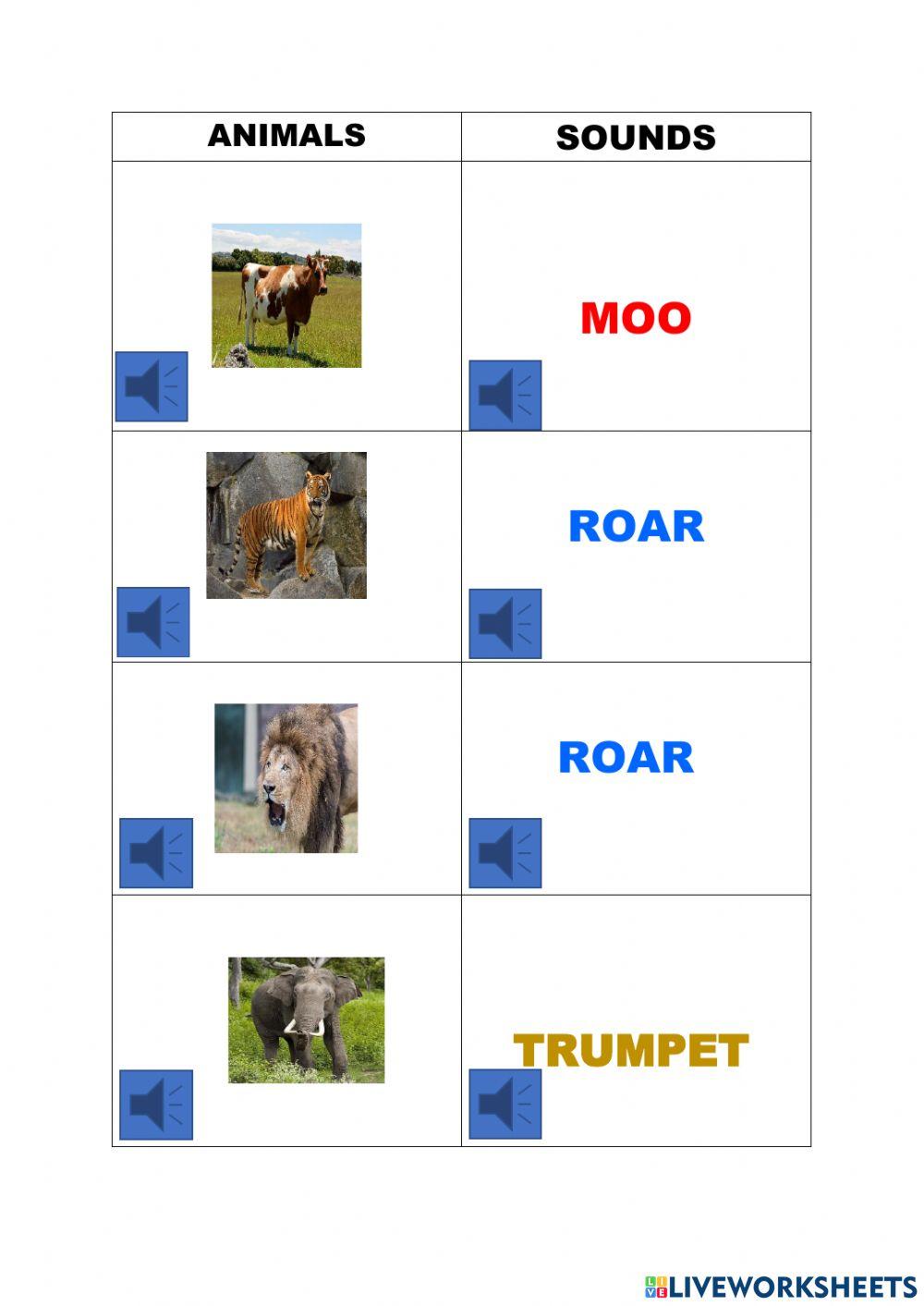 Animals and their sounds