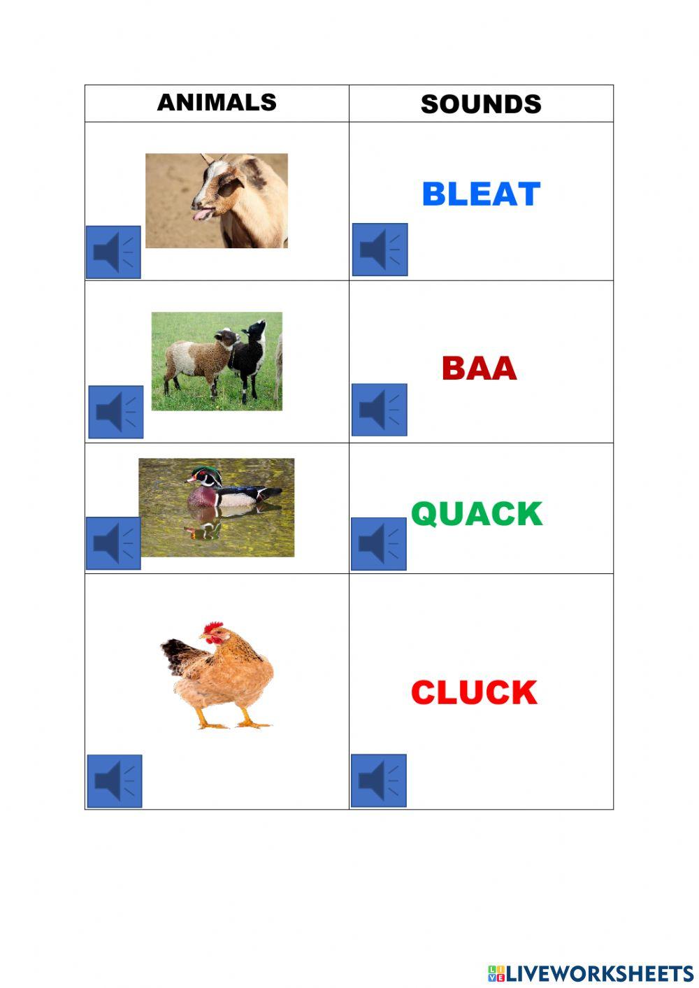 Animals and their sounds