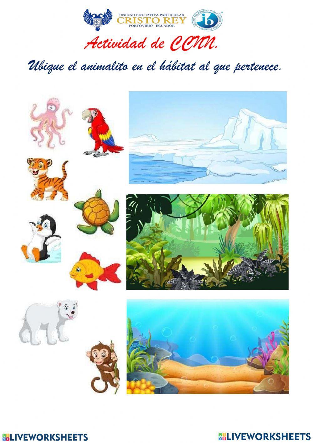 Hábitat de los animales