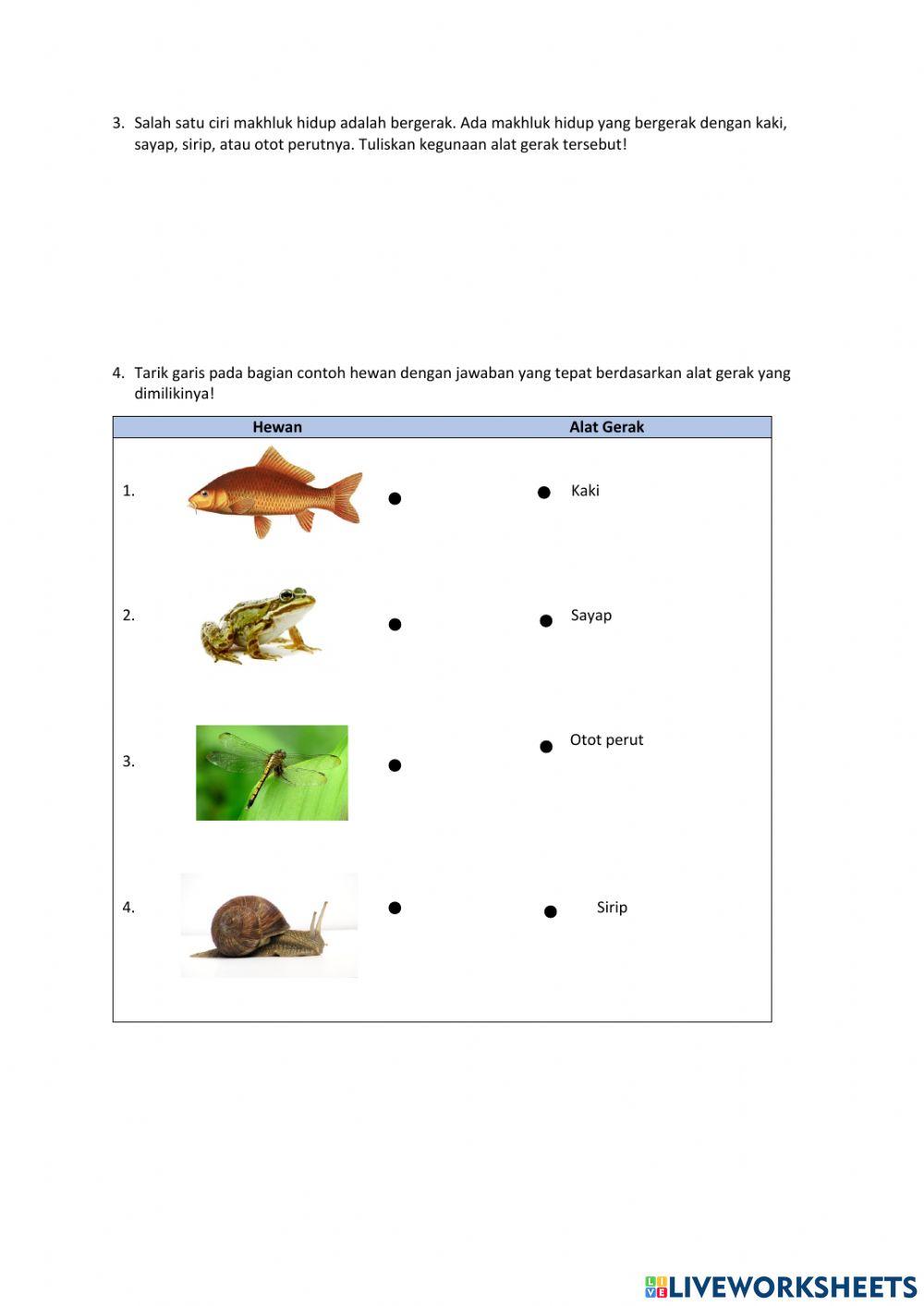 IPA Organ Gerak Hewan (1.1)