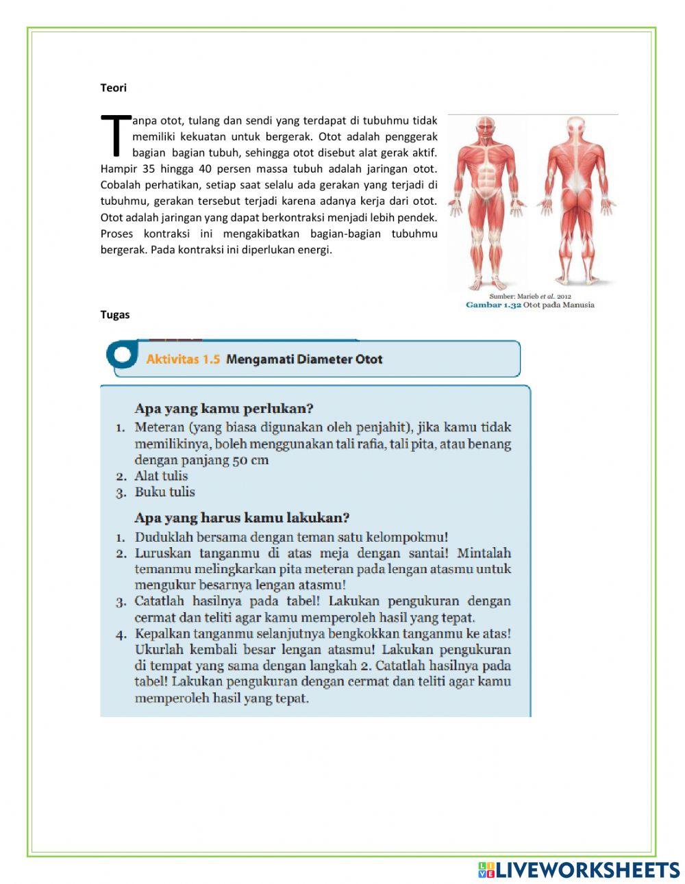 Otot dan gangguan gerak kelas 8