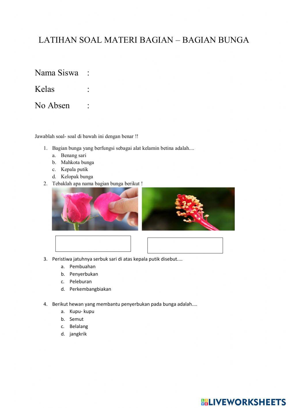 Latihan Soal Bagian Bunga