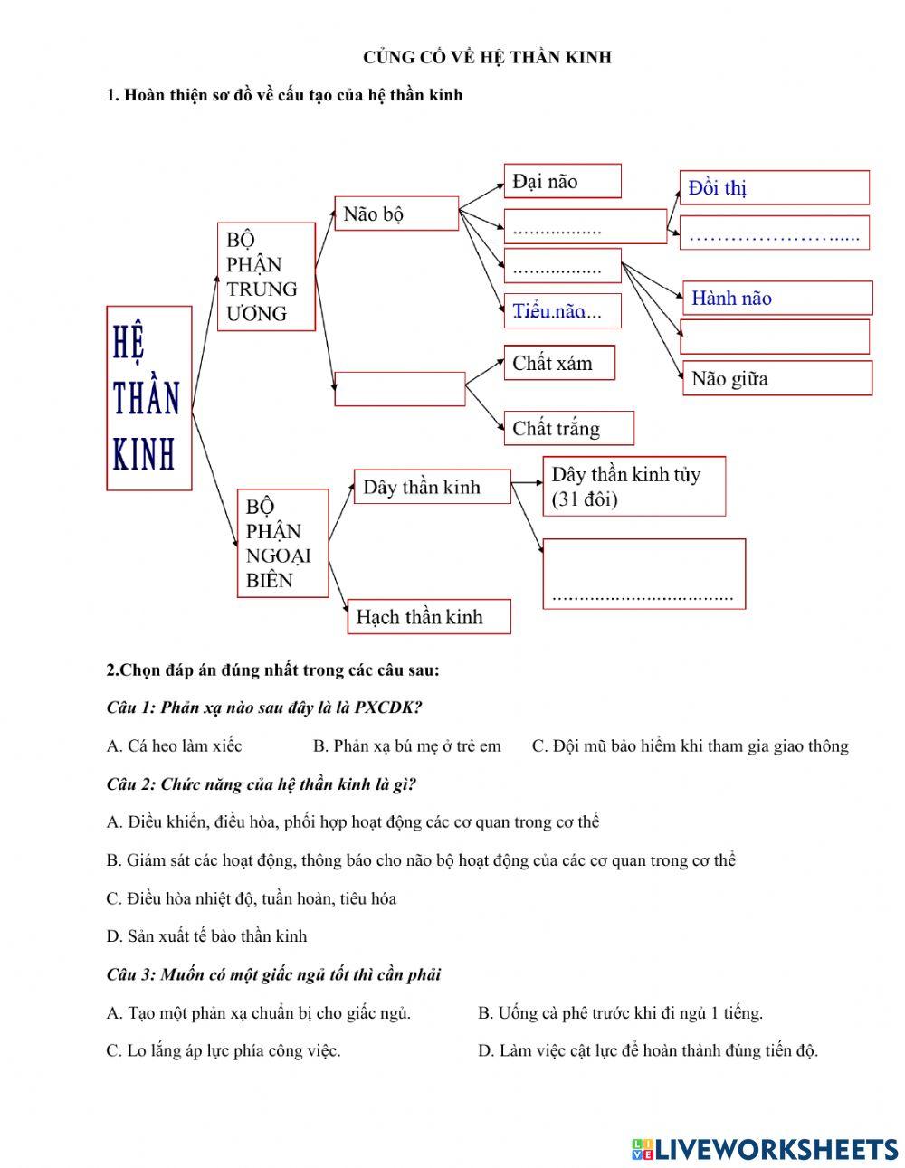 Sinh học 8 củng cố về hệ thần kinh