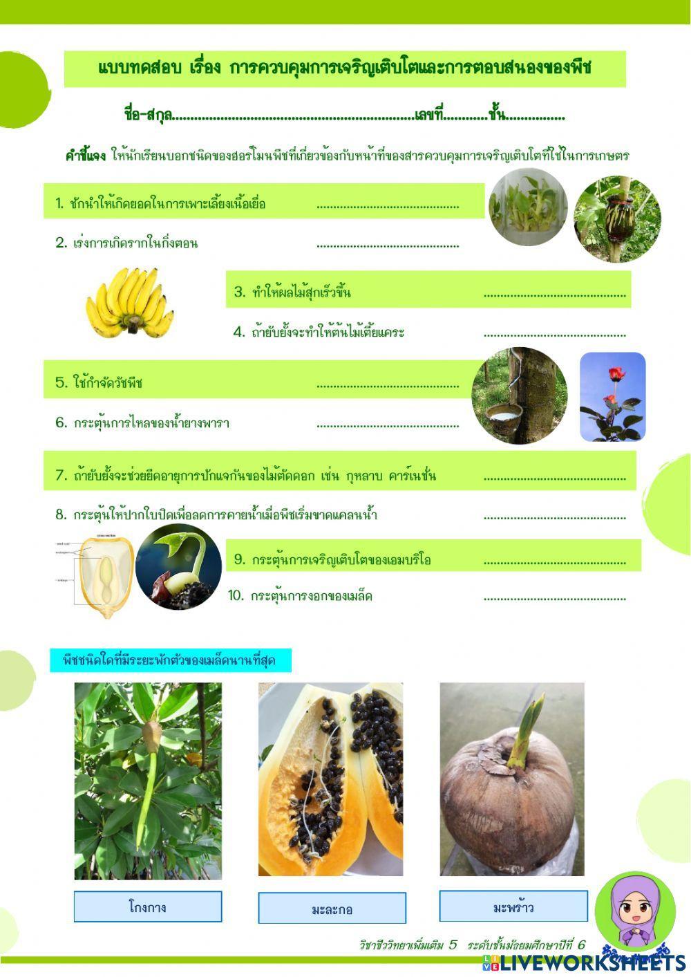 แบบทดสอบ เรื่อง ฮอร์โมนพืช