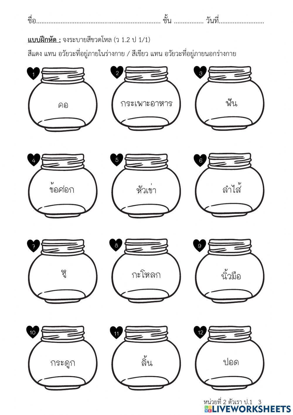 ร่างกายของฉัน