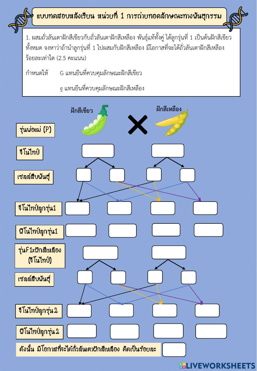 การถ่ายทอดลักษณะทางพันธุกรรมม.6เติมคำ