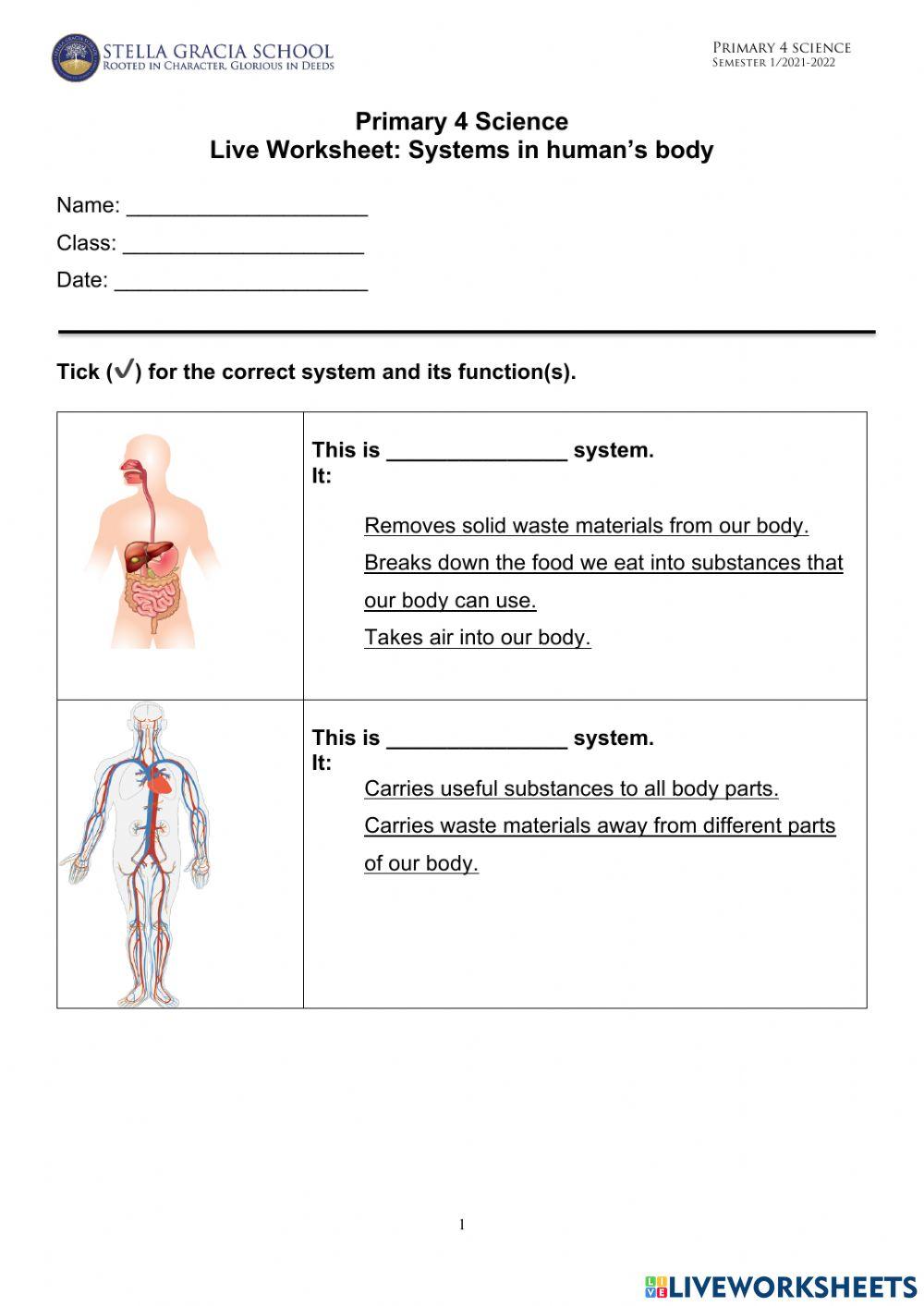 Systems in human body
