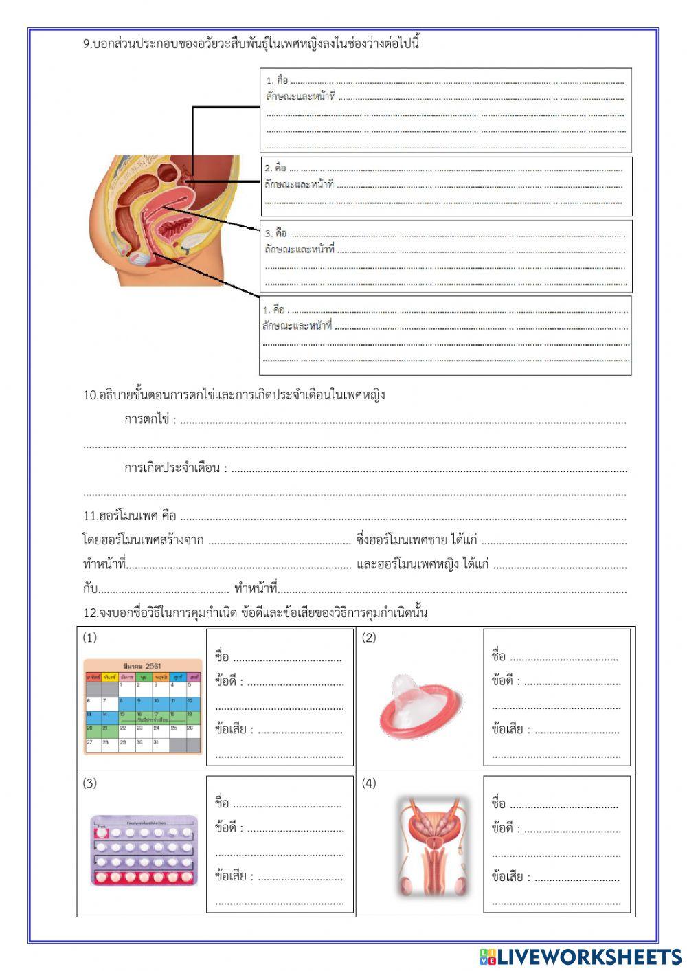 ระบบสืบพันธ์