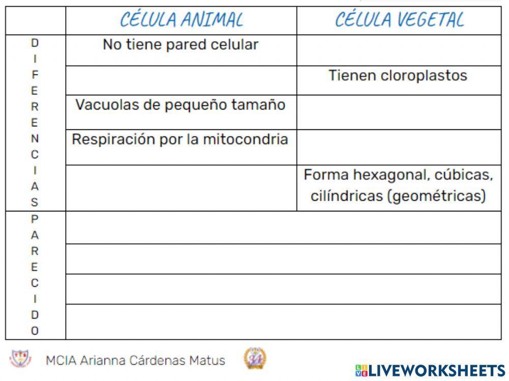 Cuadro comparativo célula