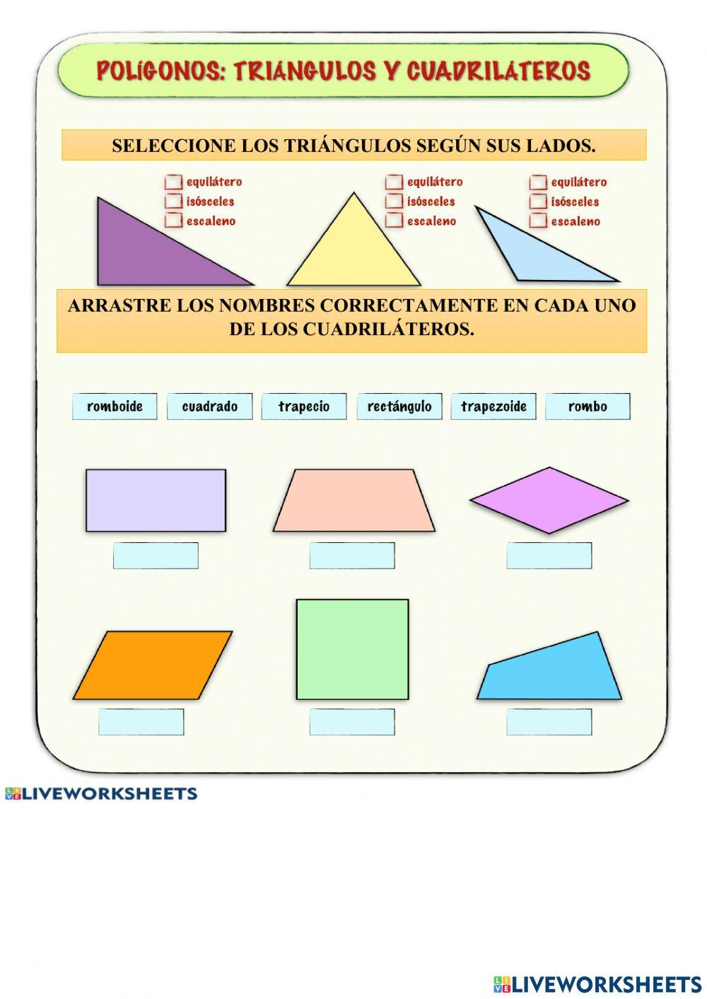 Polígonos: triángulos y cuadriláteros