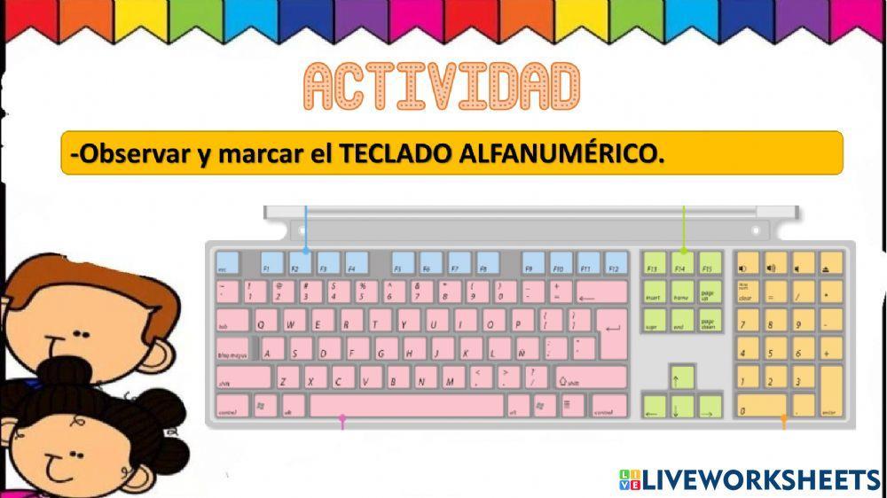 Partes del Teclado