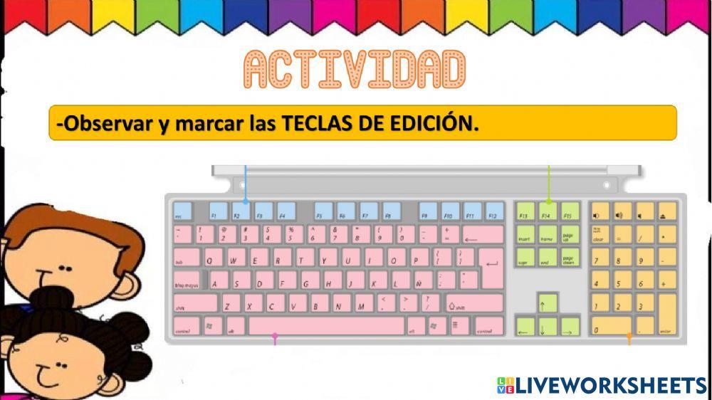 Partes del Teclado