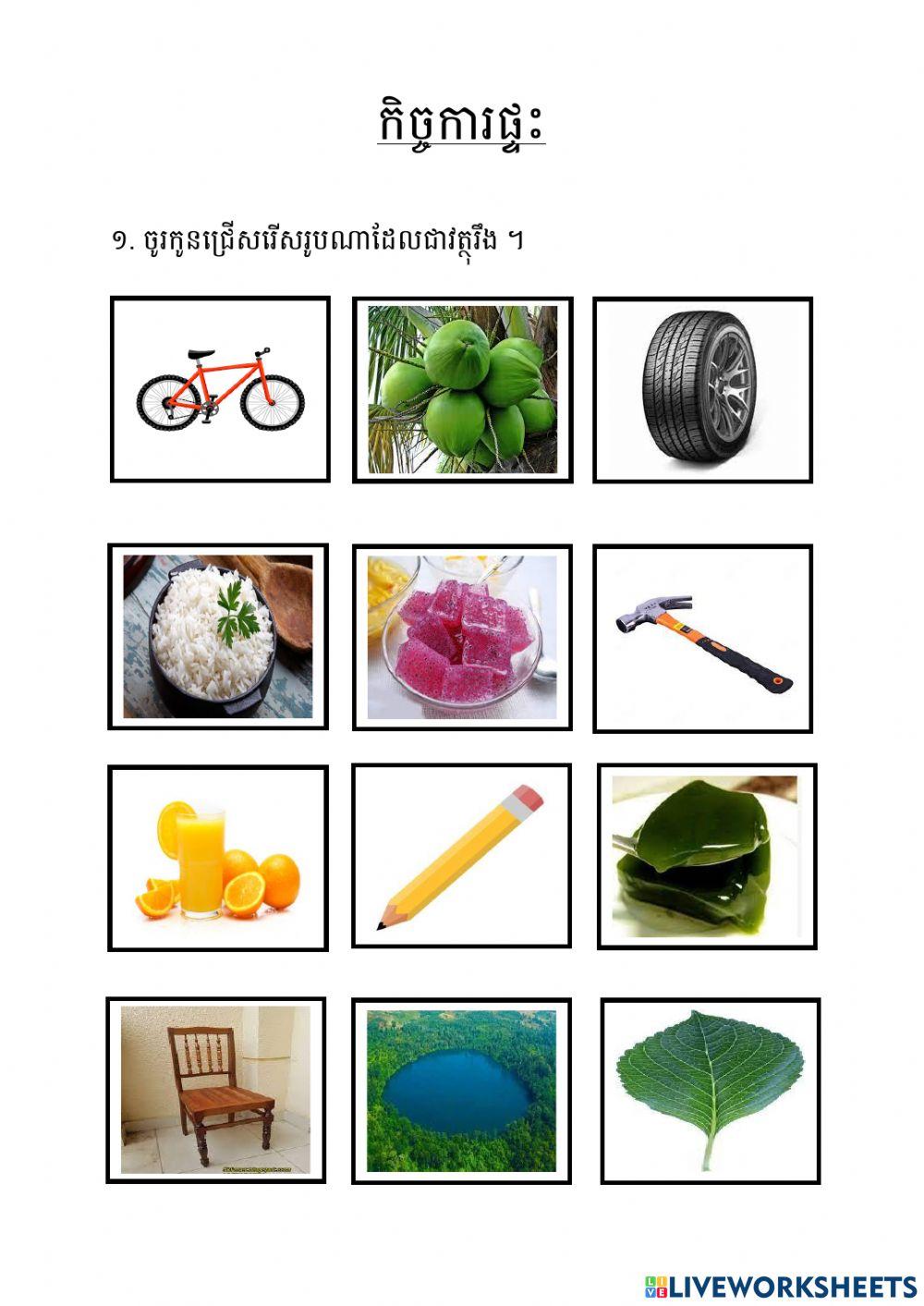 កិច្ចការផ្ទះ