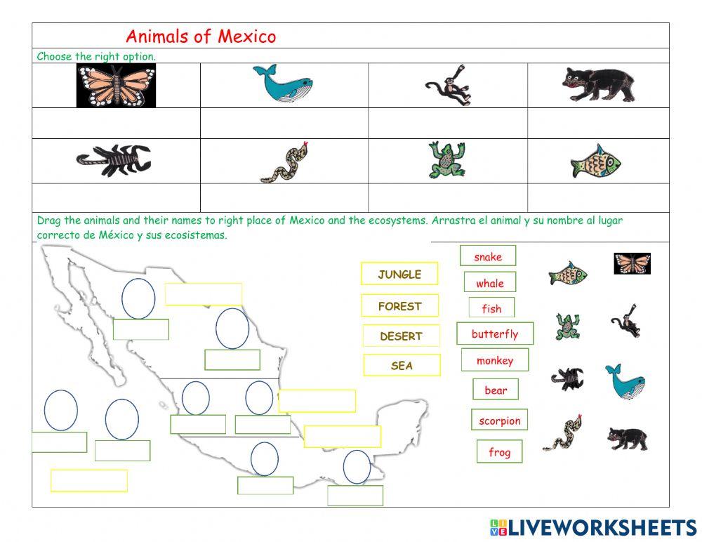 Ecosystems and animals of mexico