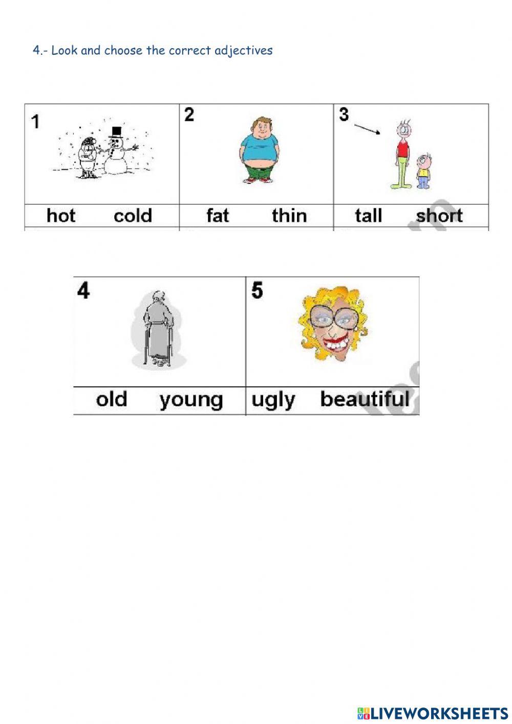 Assesment unit 1 5º grade