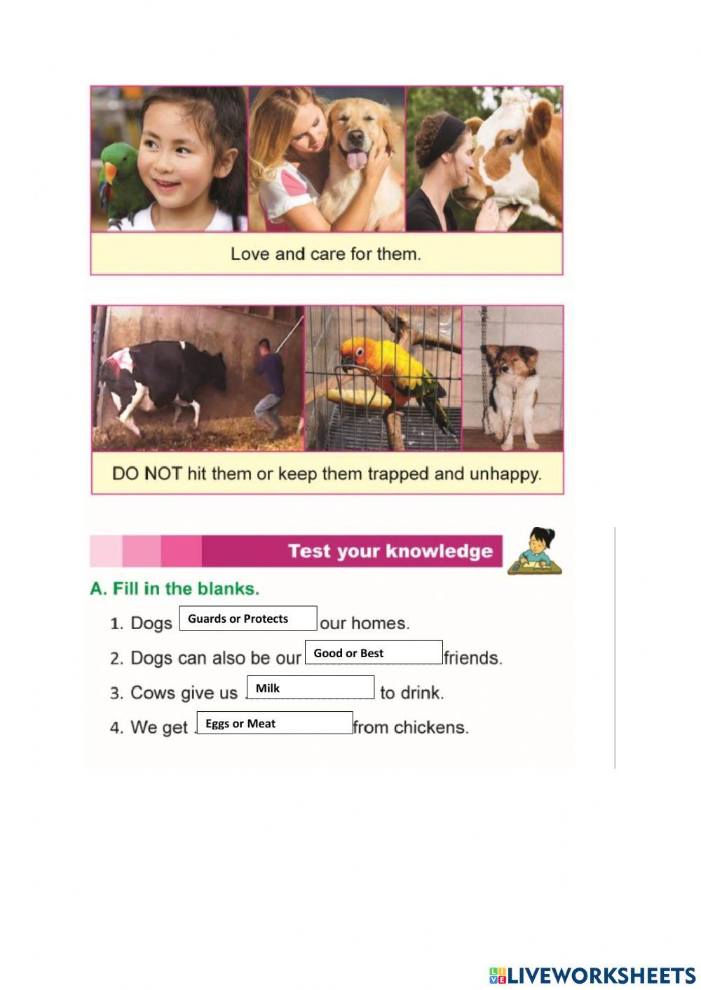 1138684 Taking Care Of Animals Dave Mansi 1138684-taking-care-of-animals-dave-mansi