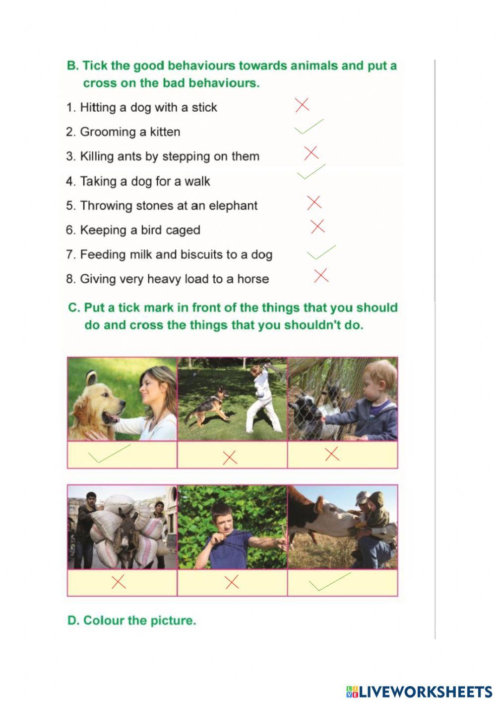 Taking care of animals