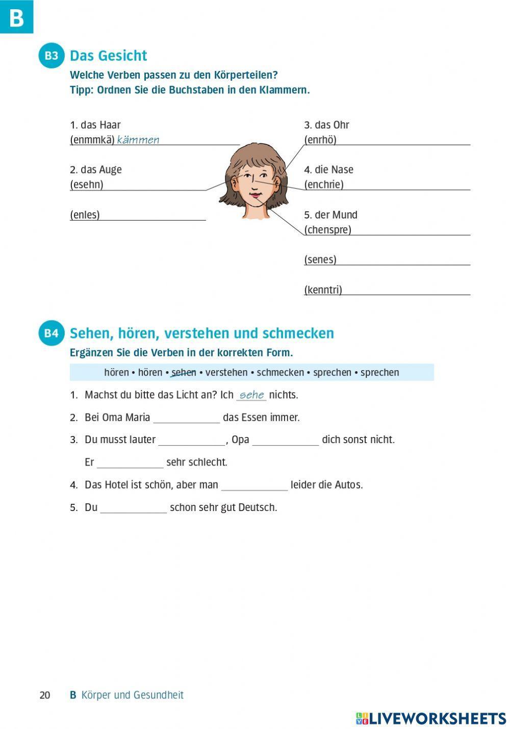 Die Körperteile, Verben