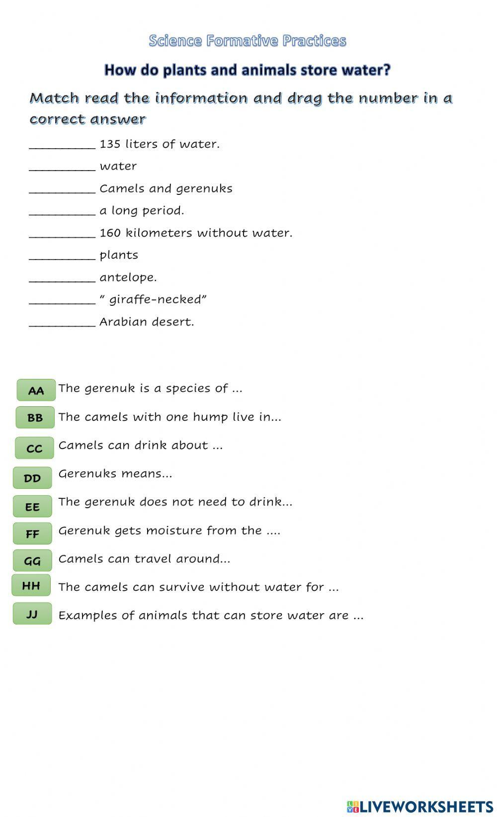 How do animals and plants store water?