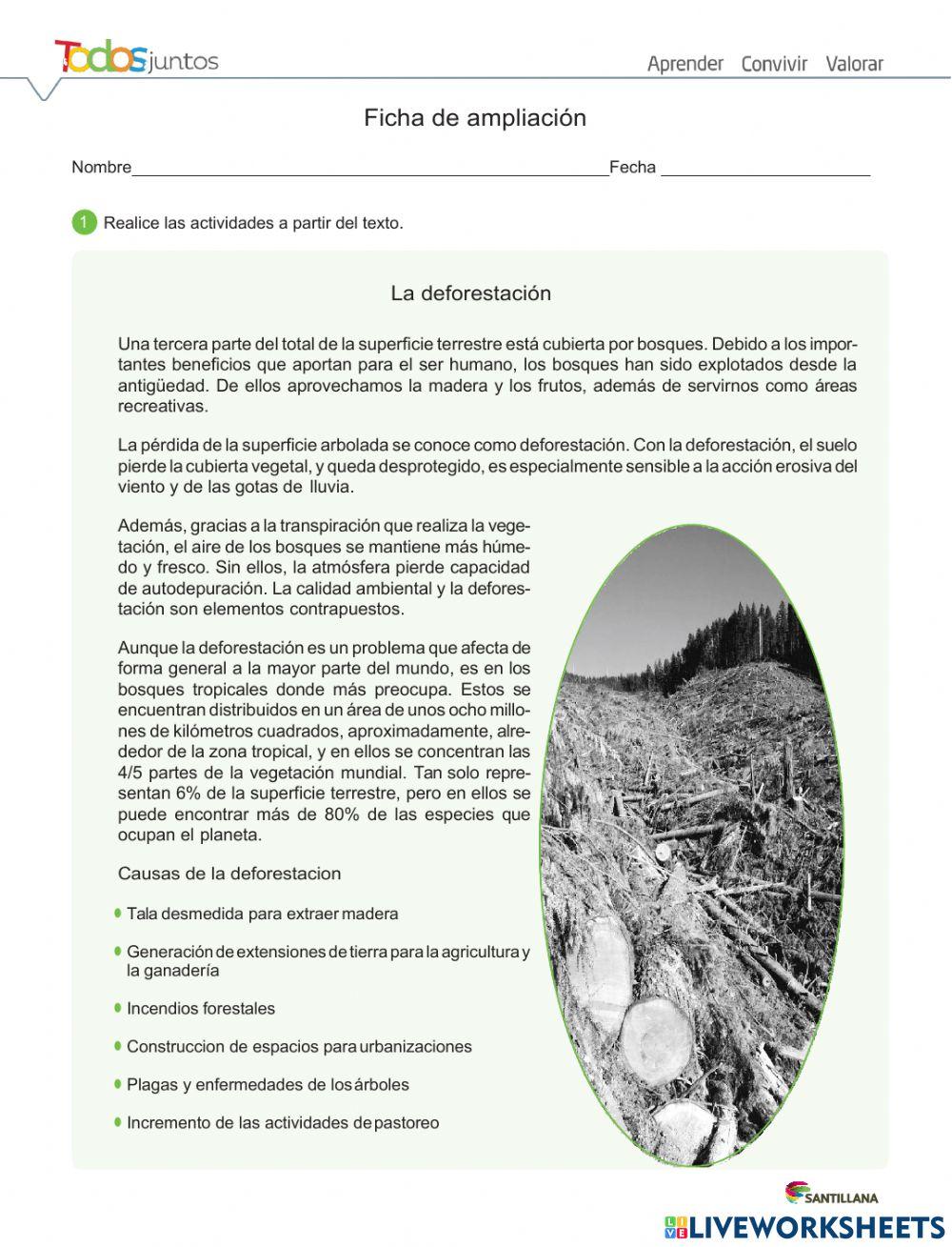 La deforestación La deforestación