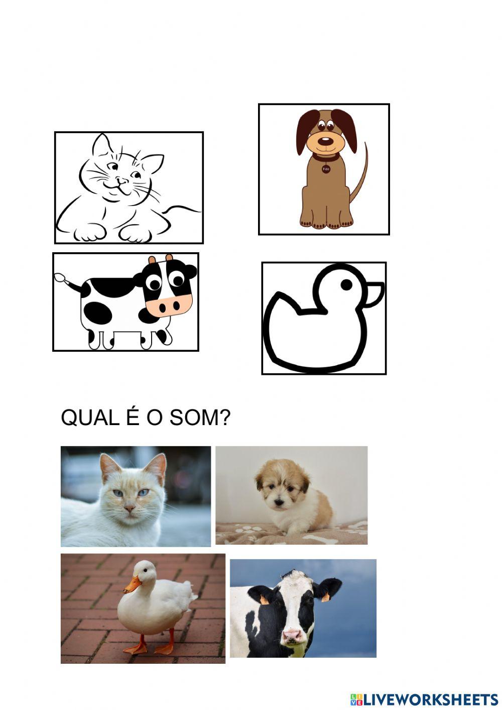 Som dos animais