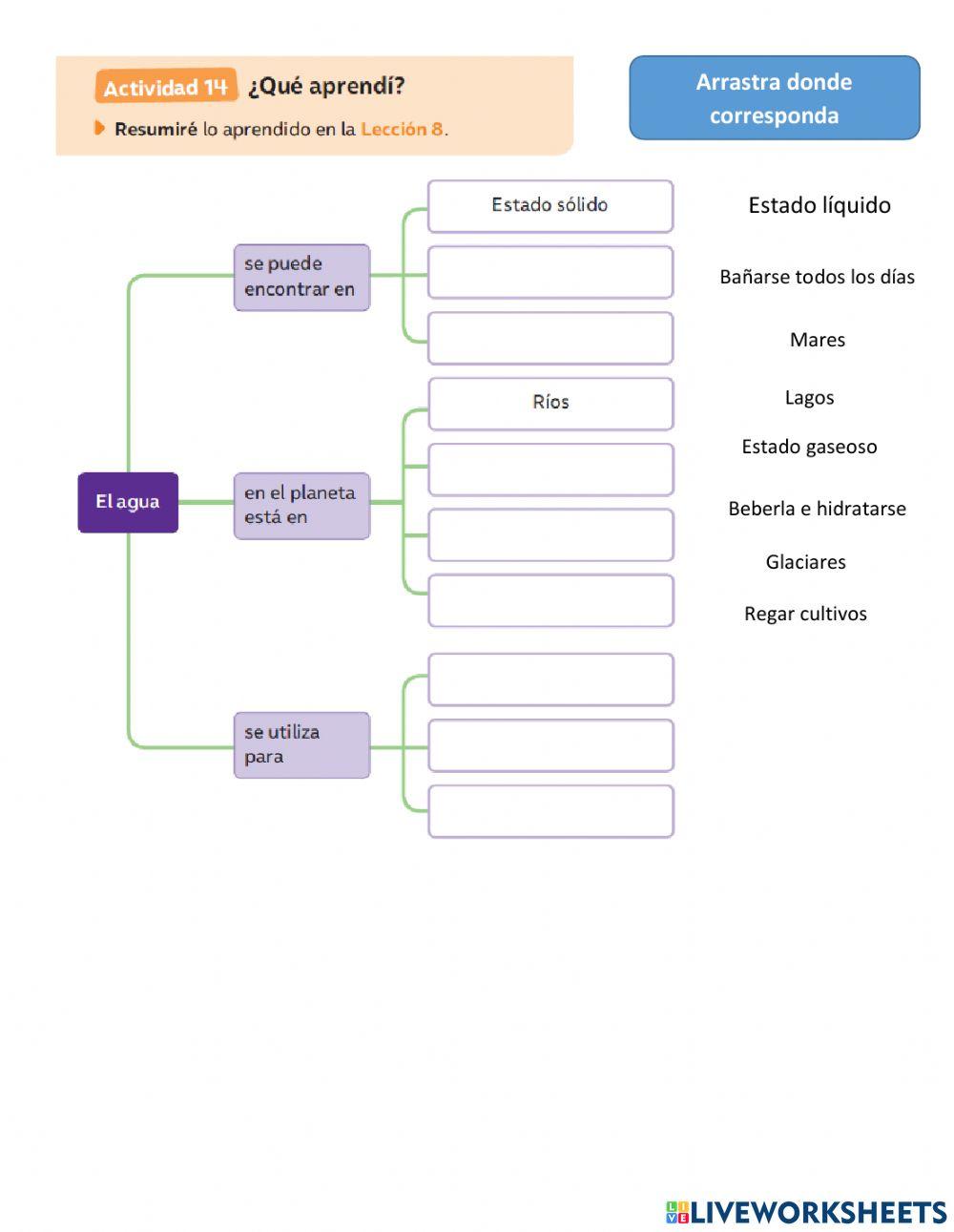 Repaso para mi prueba -El agua en nuestras vidas-