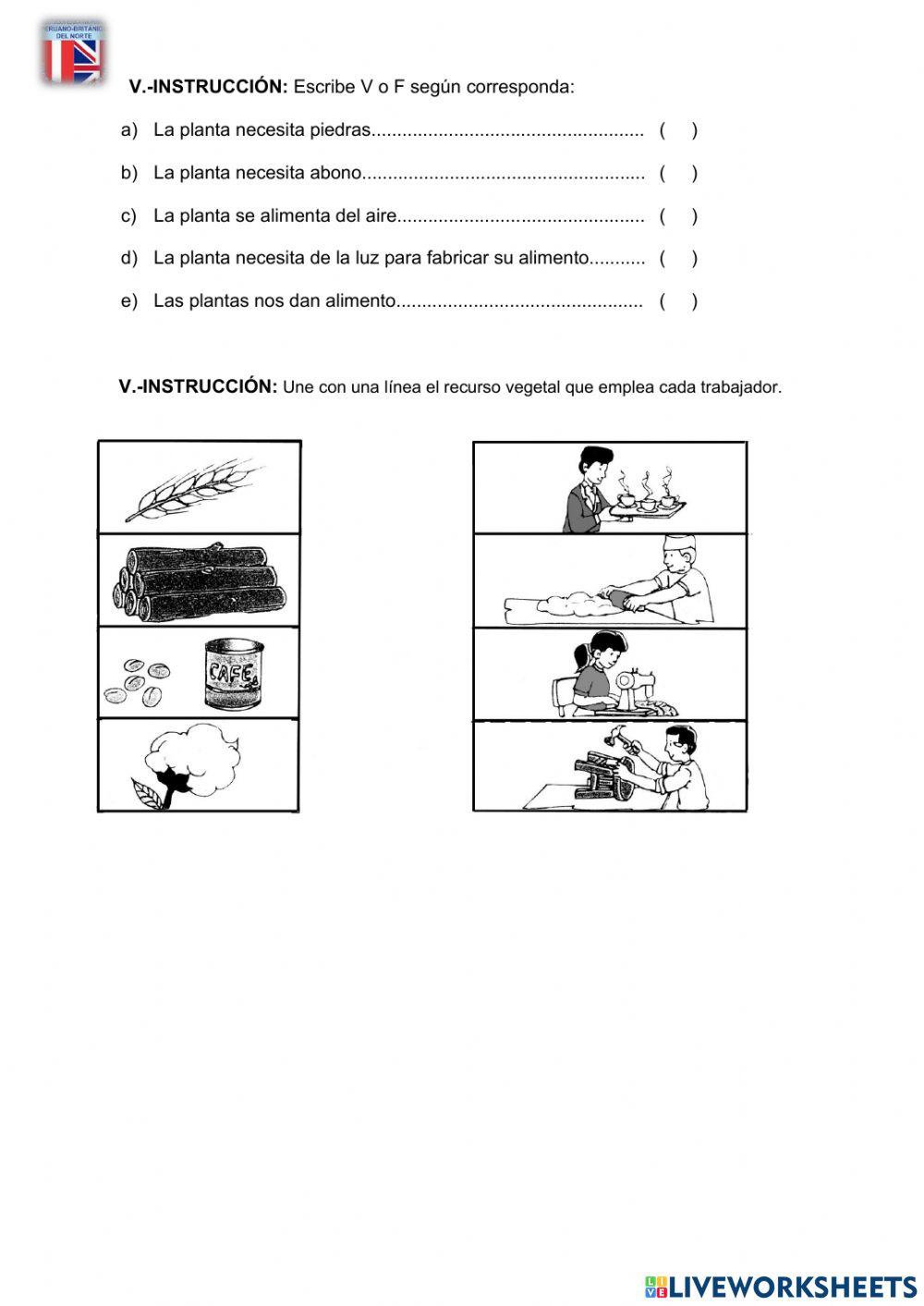 Examen Ciencia IV Unidad 1ro