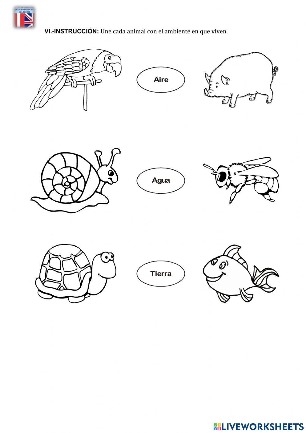 Examen Ciencia IV Unidad 1ro