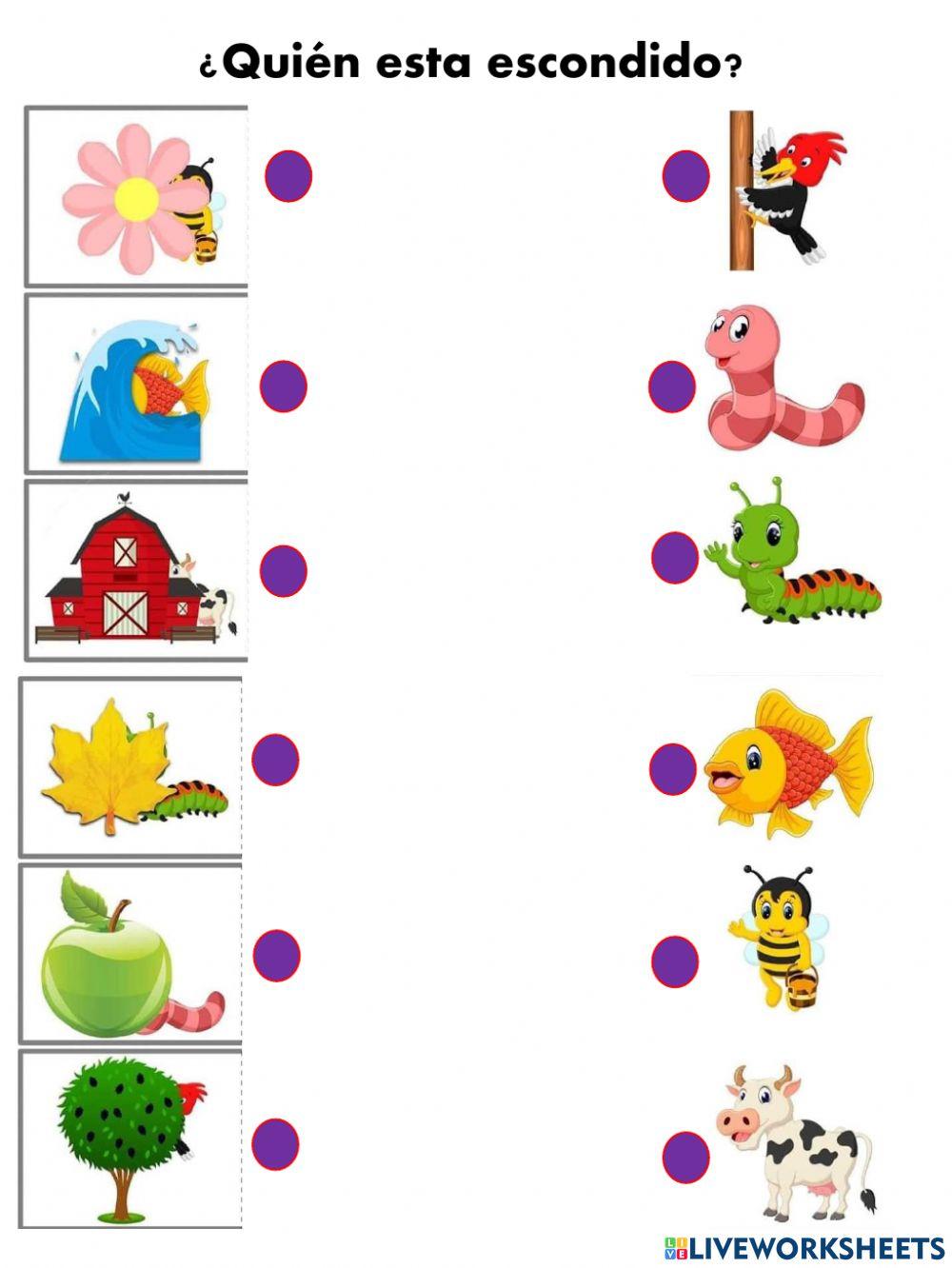 ¿Quién esta escondido?