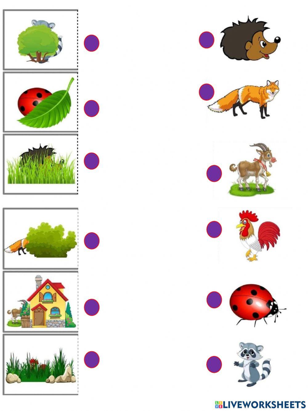 ¿Quién esta escondido?