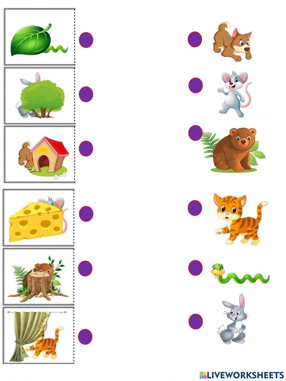 ¿Quién esta escondido?