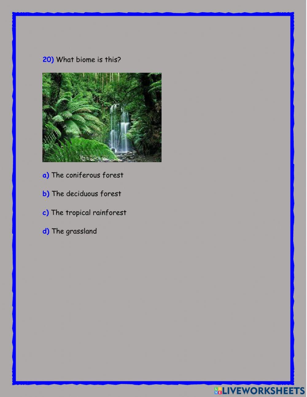 Geography quiz biomes