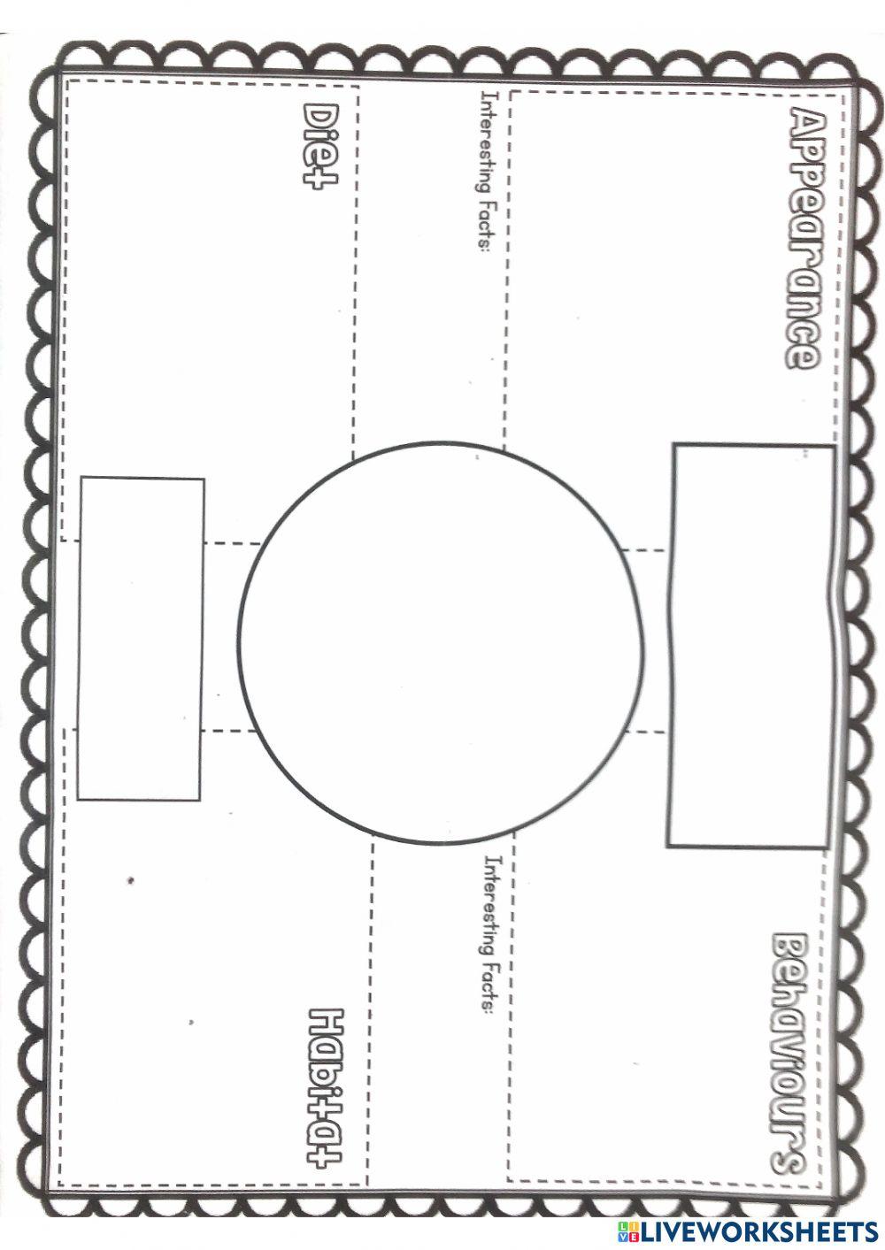 Information report template online exercise for live worksheets