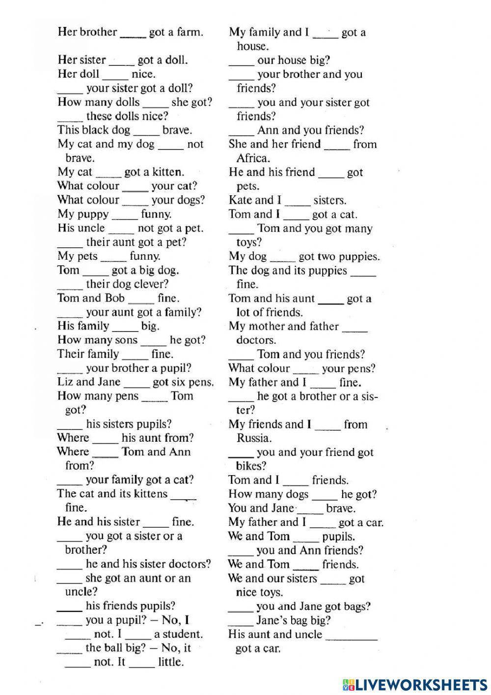 Am, is, are , have got, has got