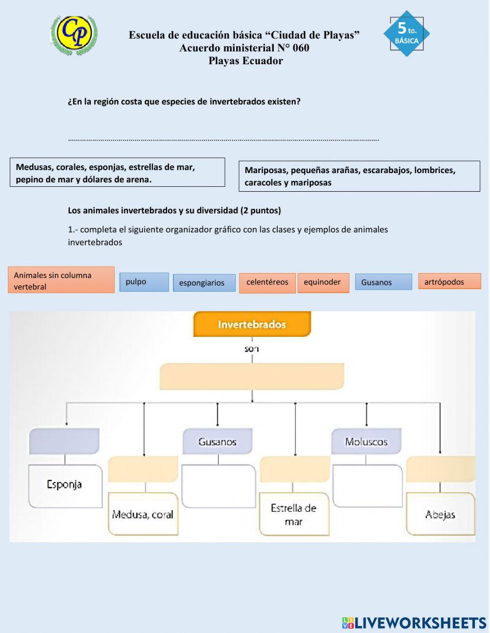 Evaluación Primer parcial