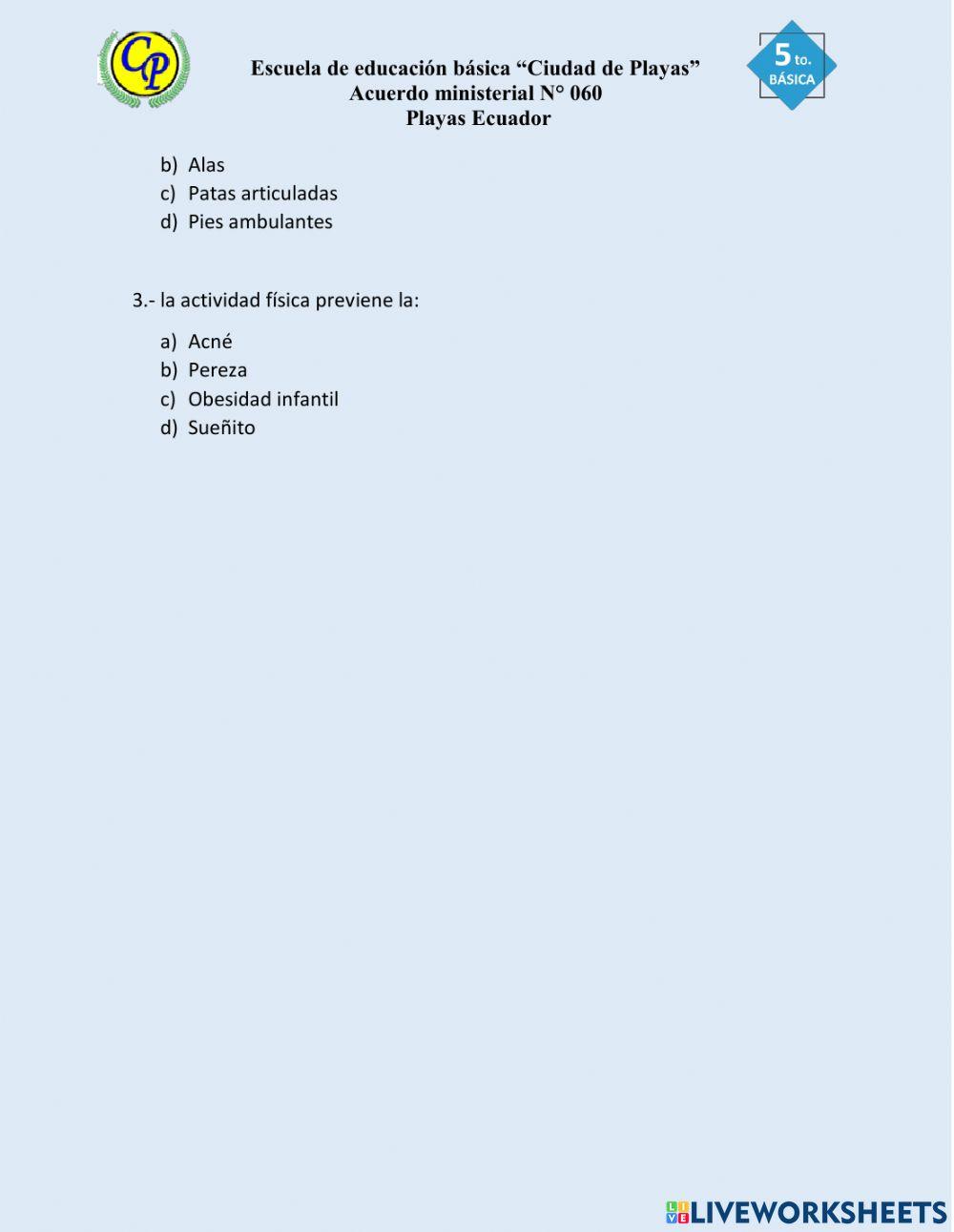 Evaluación Primer parcial