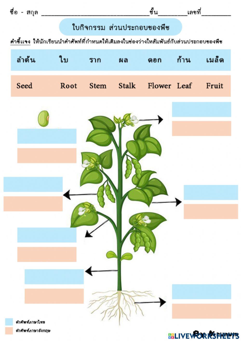 Common Parts of a Part