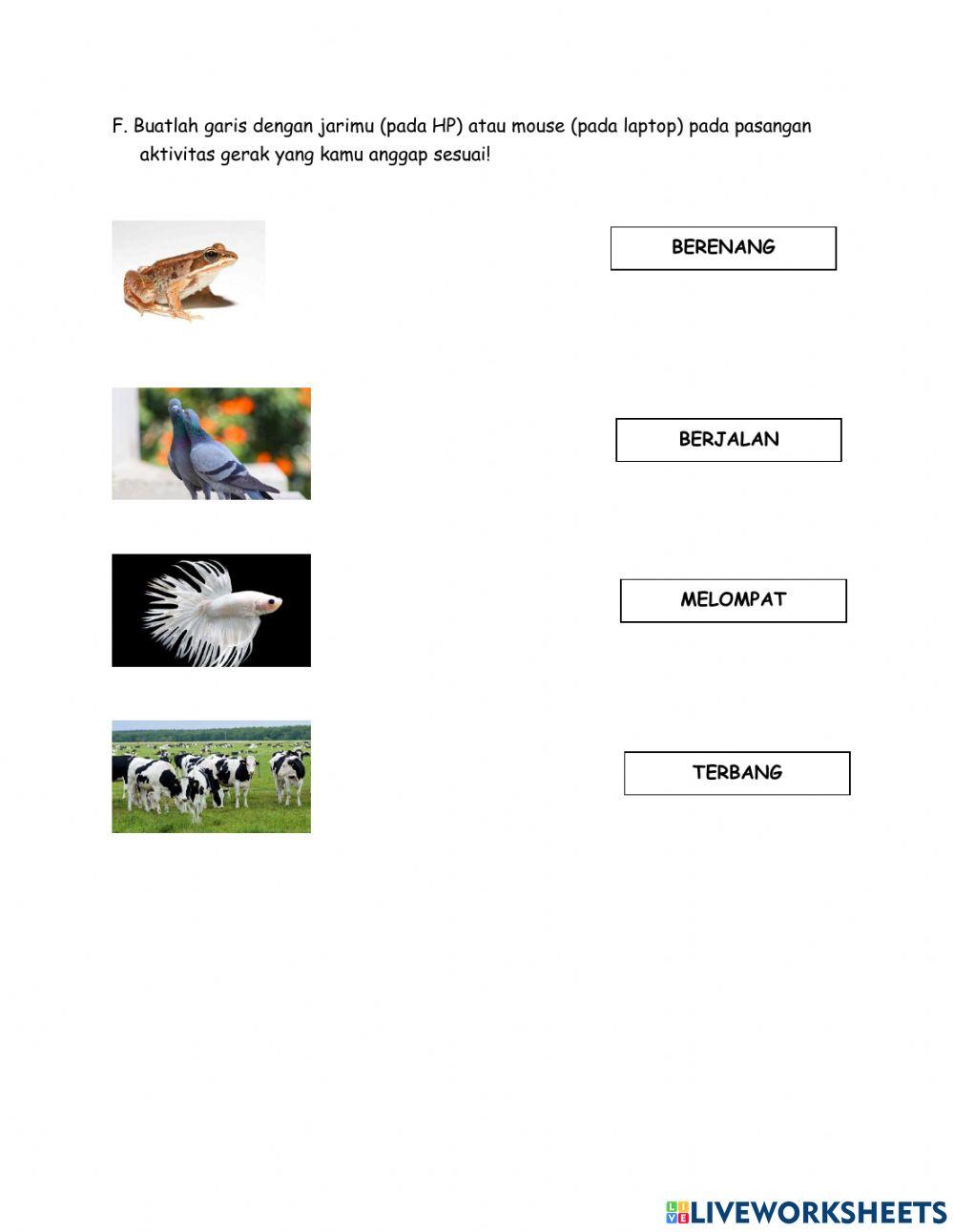 Latihan soal organ gerak hewan