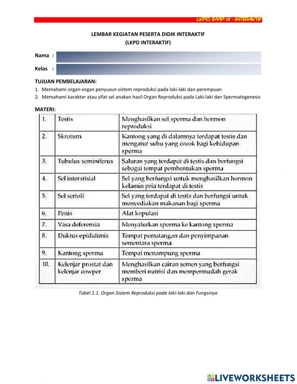 Lkpd spermatogenesis