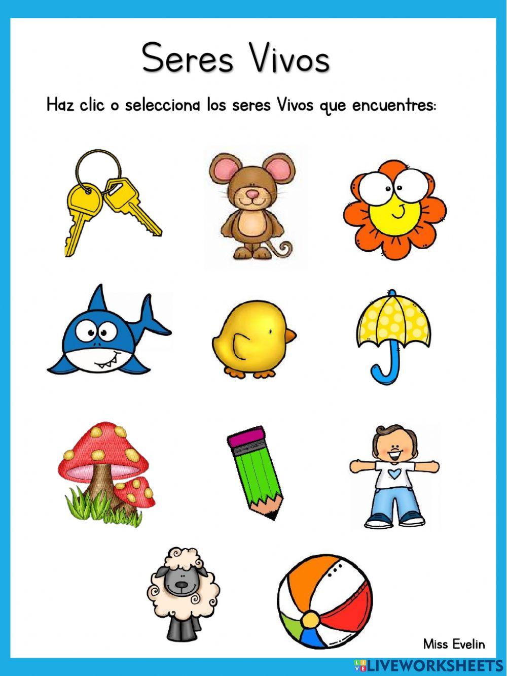 Seres Vivos y Objetos Inanimados